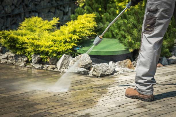 Best Oil Spill Cleanup  in Springfield, MI