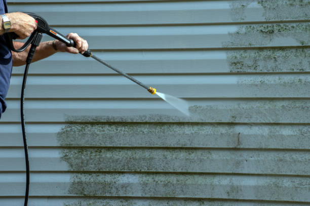 Best Graffiti Removal  in Springfield, MI